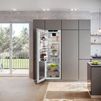 Liebherr IRBAD5190 Integrated Tall Larder Fridge